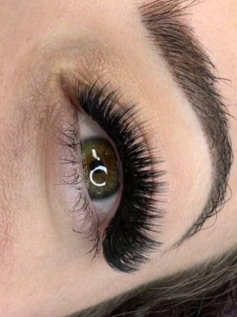 לורם איפסום3